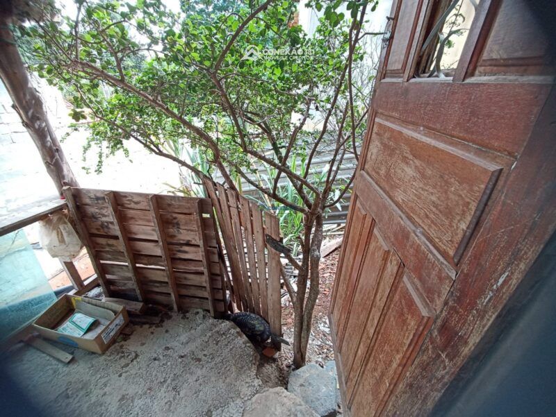 Casa à venda em Cambuí, MG — foto 17
