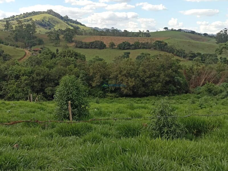 Terreno Rural à venda em Cambuí, MG — foto 4