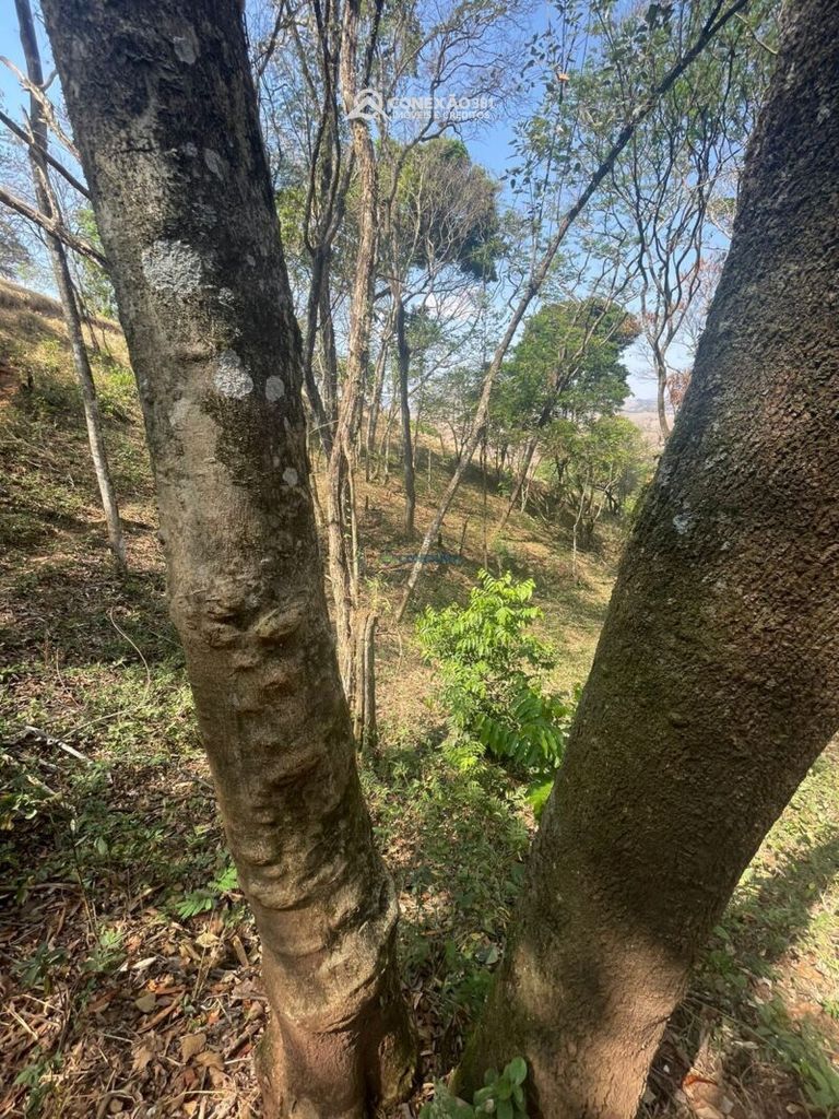 Terreno Rural à venda em Cambuí, MG — foto 6