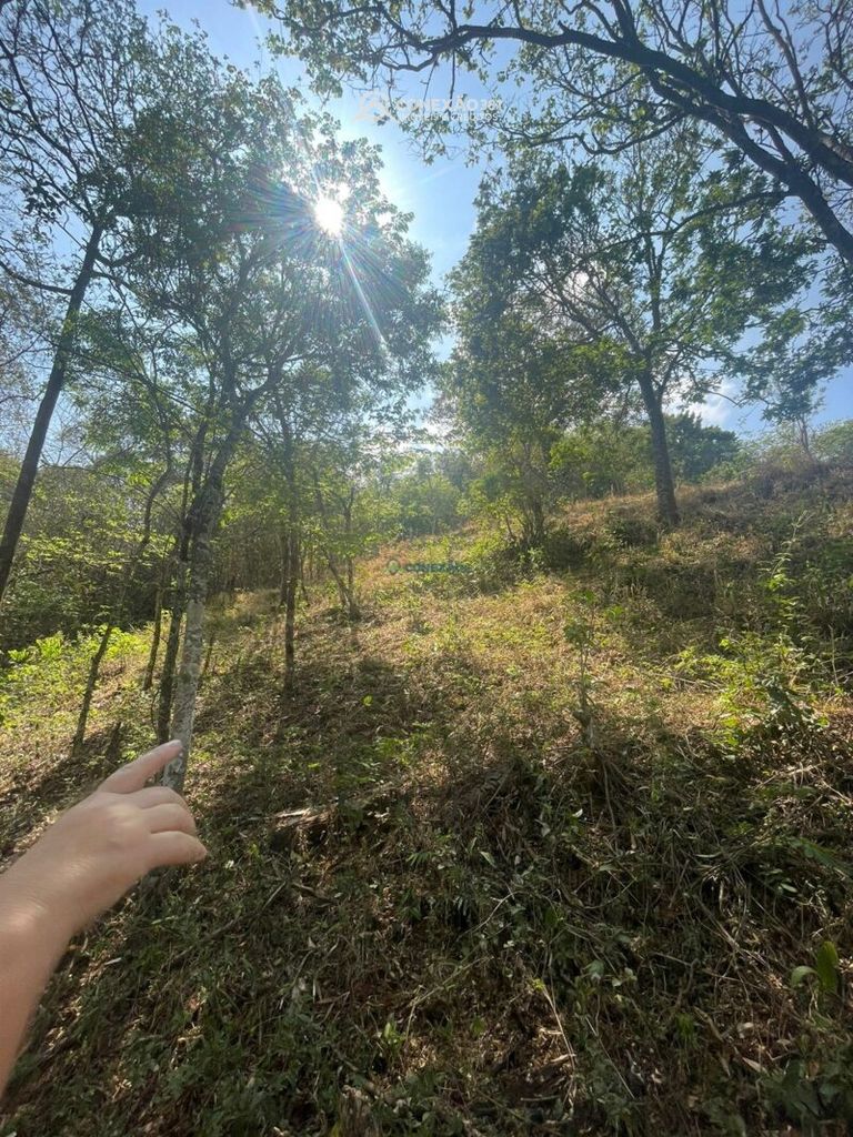 Terreno Rural à venda em Cambuí, MG — foto 7