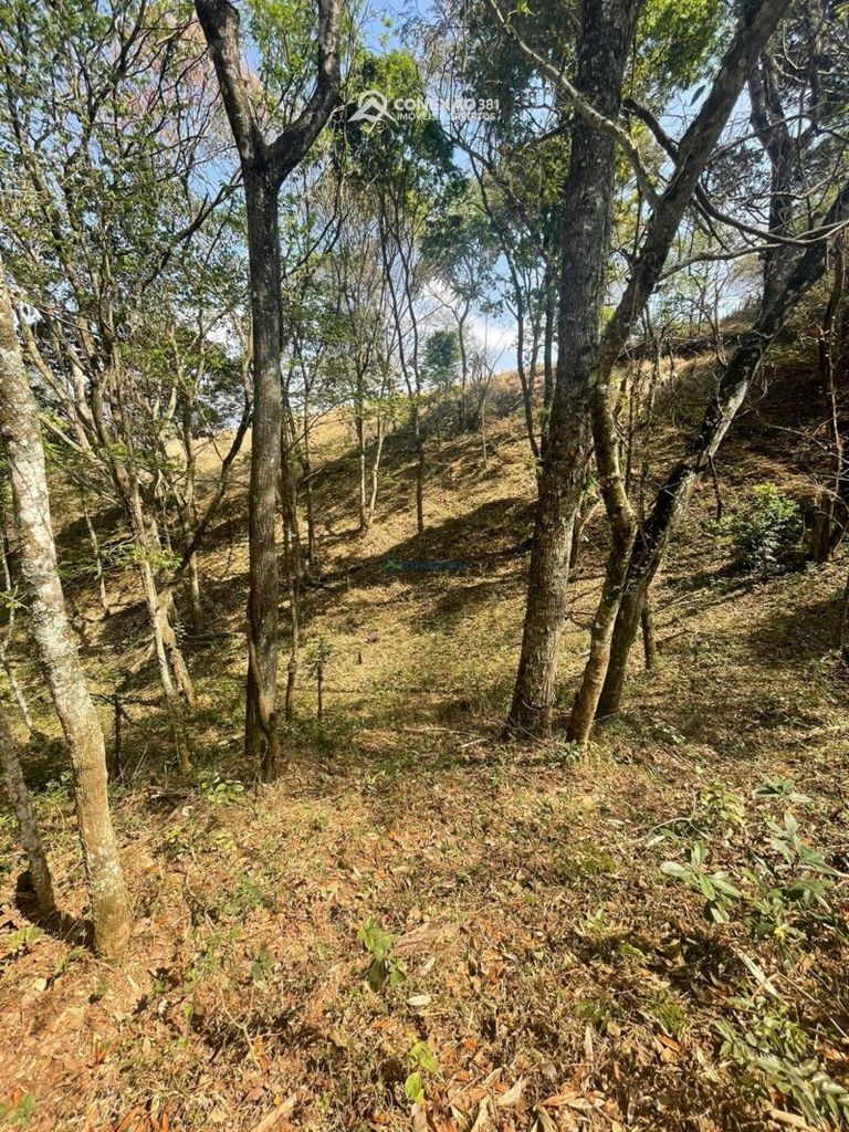 Terreno Rural à venda em Cambuí, MG — foto 5