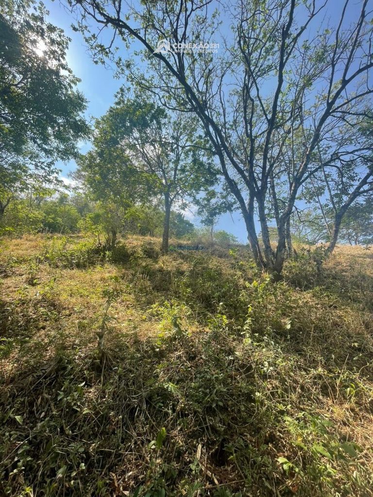 Terreno Rural à venda em Cambuí, MG — foto 13