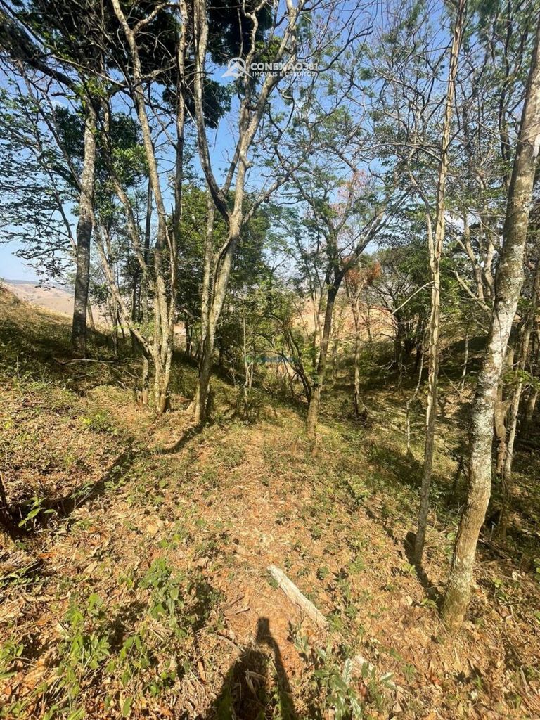 Terreno Rural à venda em Cambuí, MG — foto 10