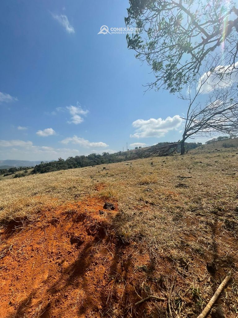 Terreno Rural à venda em Cambuí, MG — foto 24