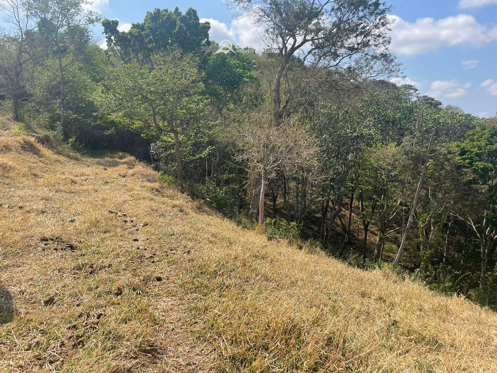 Terreno Rural à venda em Cambuí, MG — foto 38