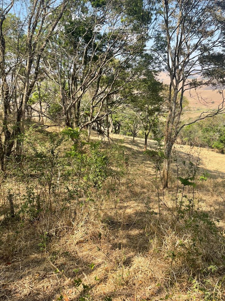Terreno Rural à venda em Cambuí, MG — foto 35