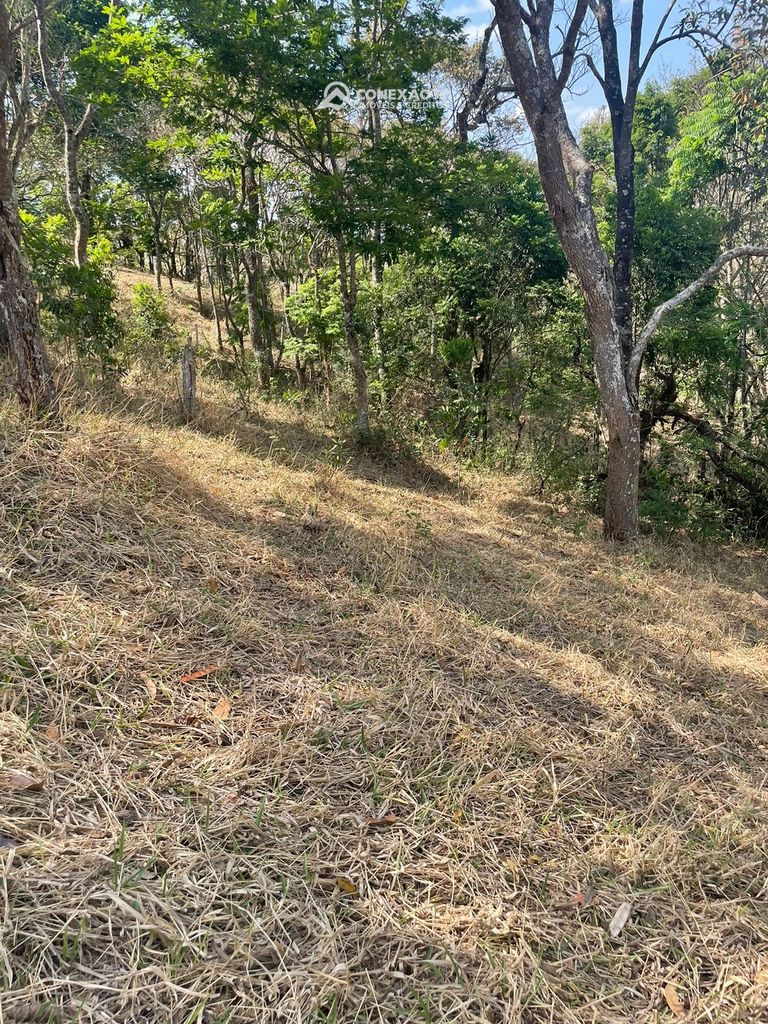 Terreno Rural à venda em Cambuí, MG — foto 47
