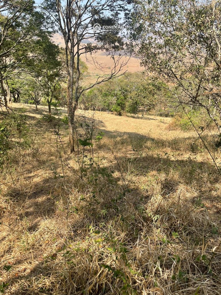 Terreno Rural à venda em Cambuí, MG — foto 51