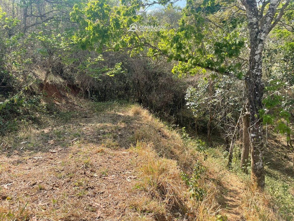 Terreno Rural à venda em Cambuí, MG — foto 54