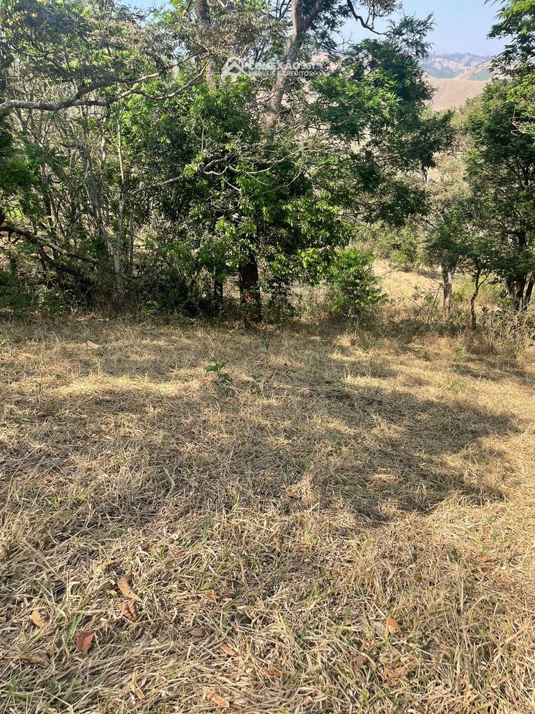 Terreno Rural à venda em Cambuí, MG — foto 53