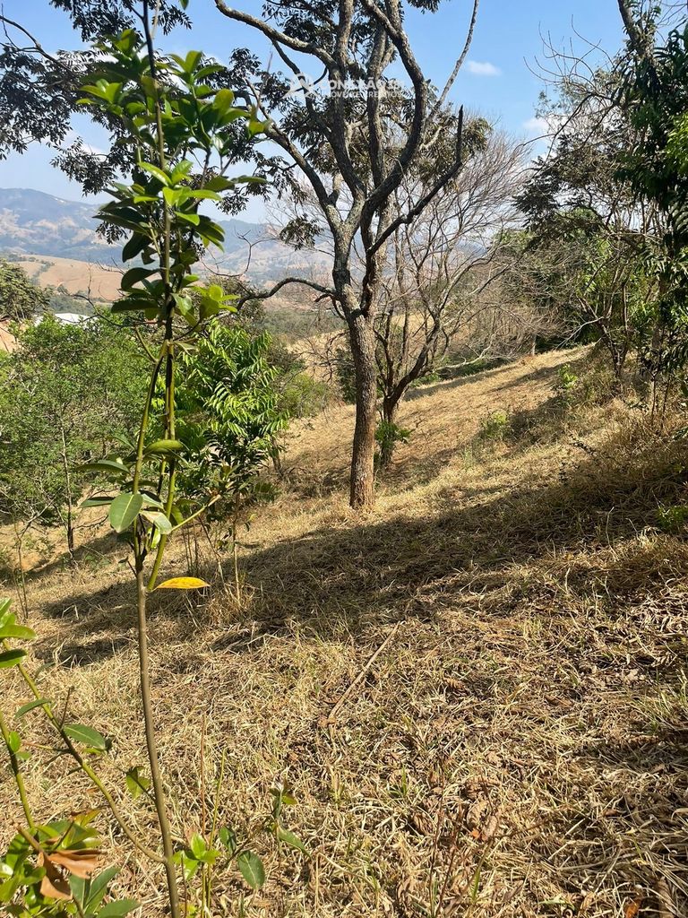 Terreno Rural à venda em Cambuí, MG — foto 55