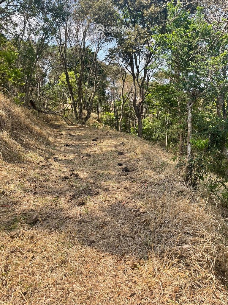 Terreno Rural à venda em Cambuí, MG — foto 57