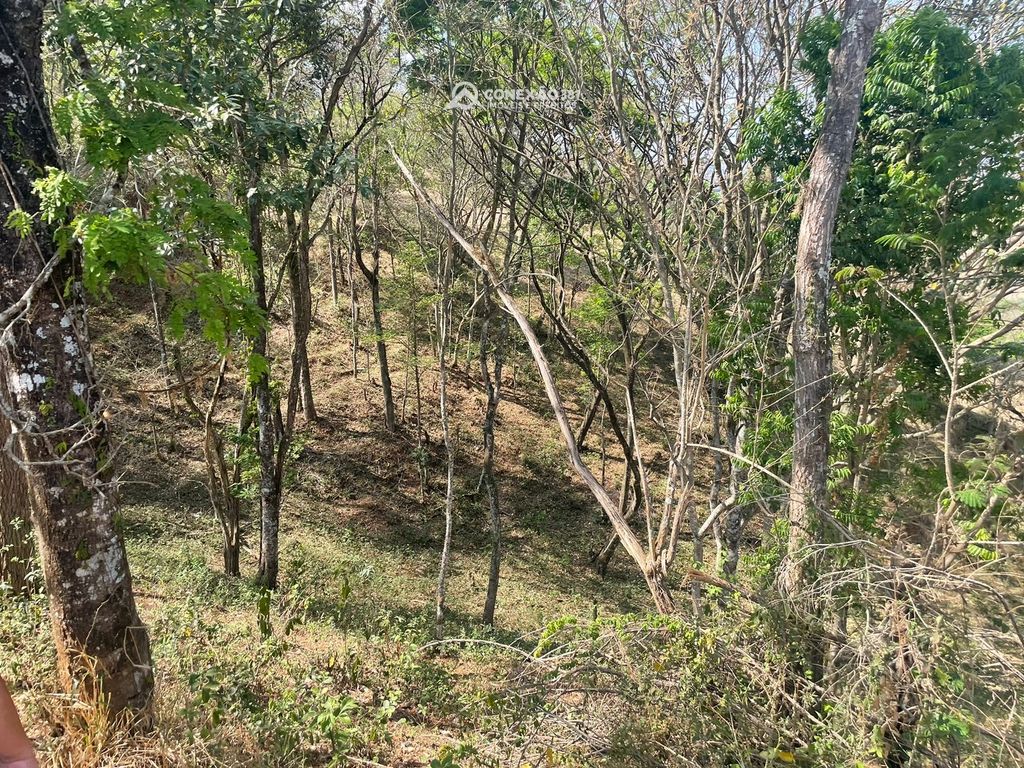 Terreno Rural à venda em Cambuí, MG — foto 58