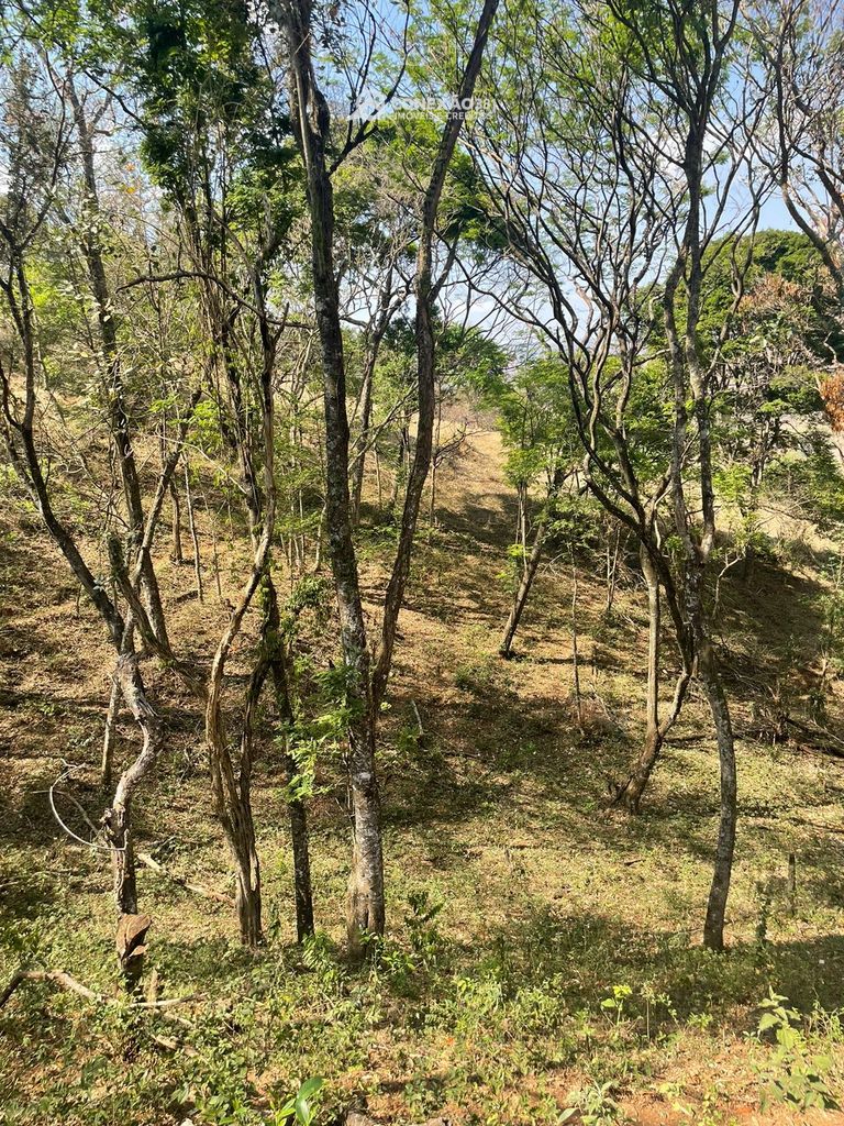 Terreno Rural à venda em Cambuí, MG — foto 63