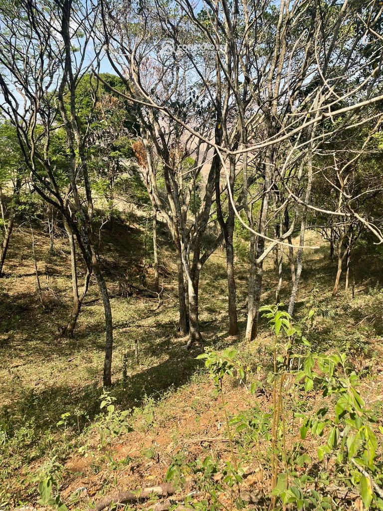 Terreno Rural à venda em Cambuí, MG — foto 62