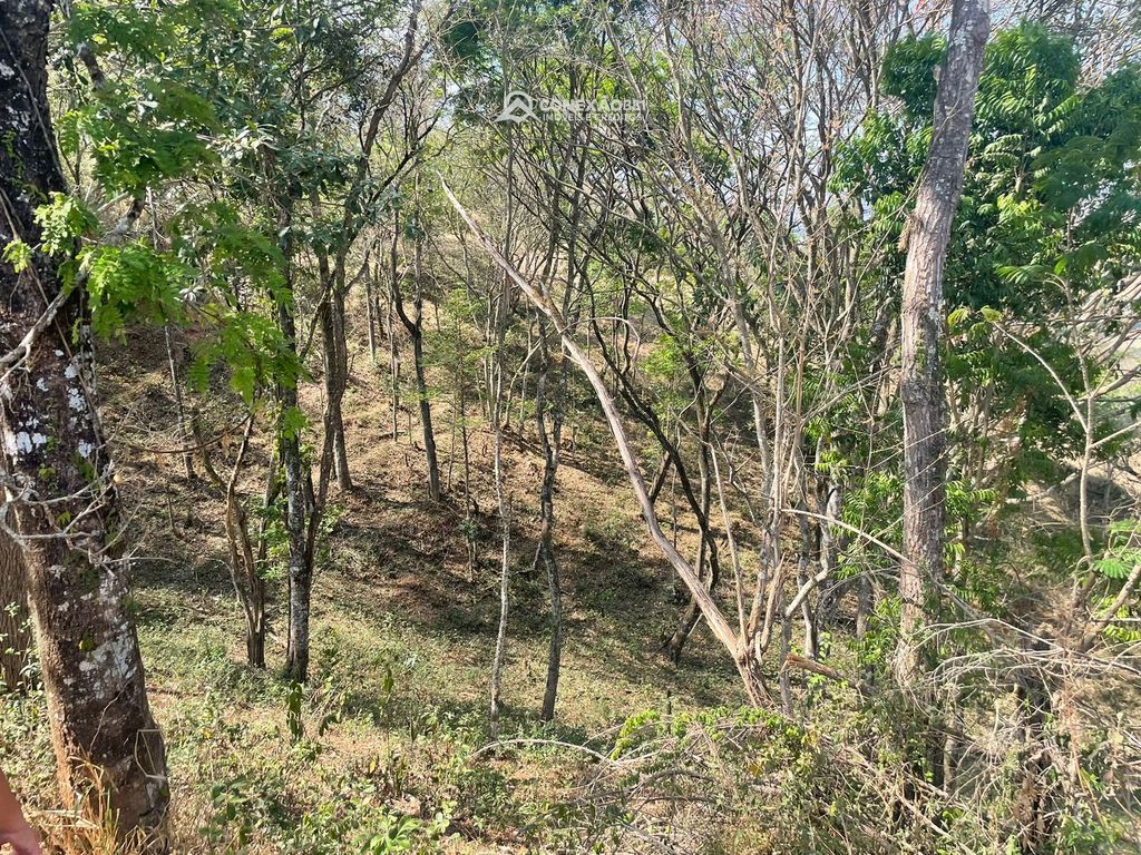 Terreno Rural à venda em Cambuí, MG — foto 61
