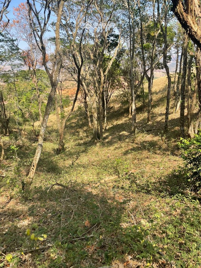 Terreno Rural à venda em Cambuí, MG — foto 64