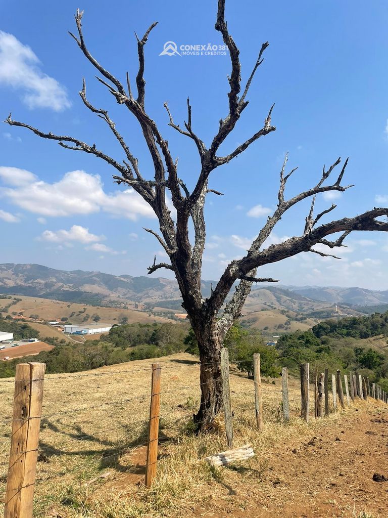 Terreno Rural à venda em Cambuí, MG — foto 70