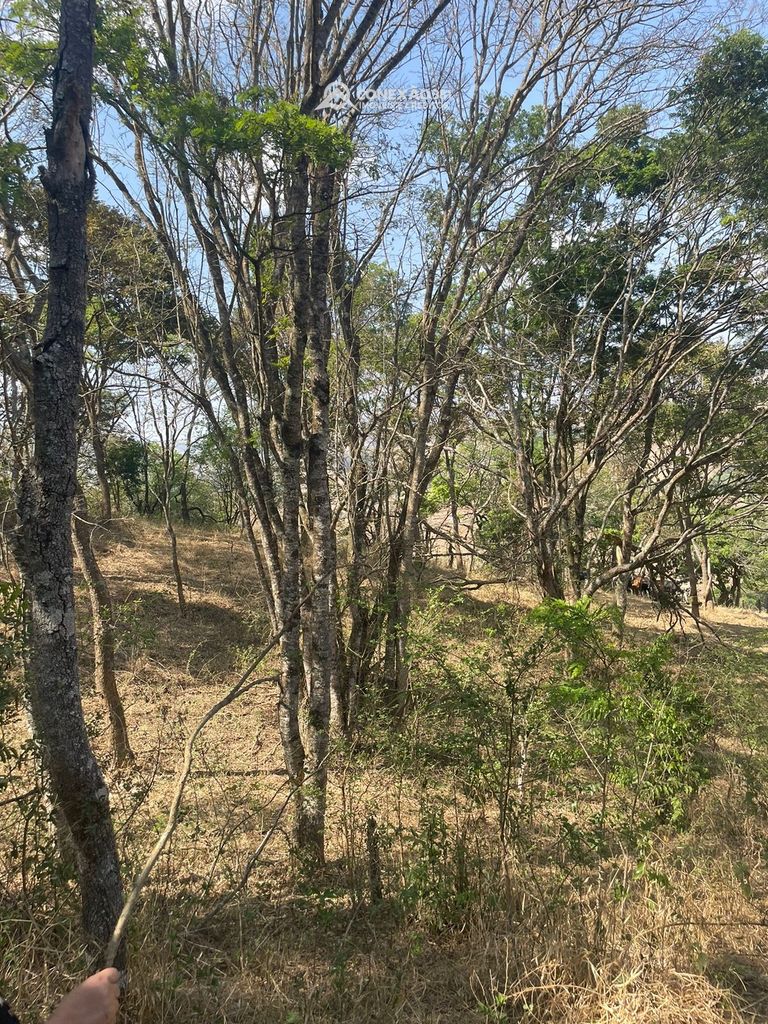 Terreno Rural à venda em Cambuí, MG — foto 71
