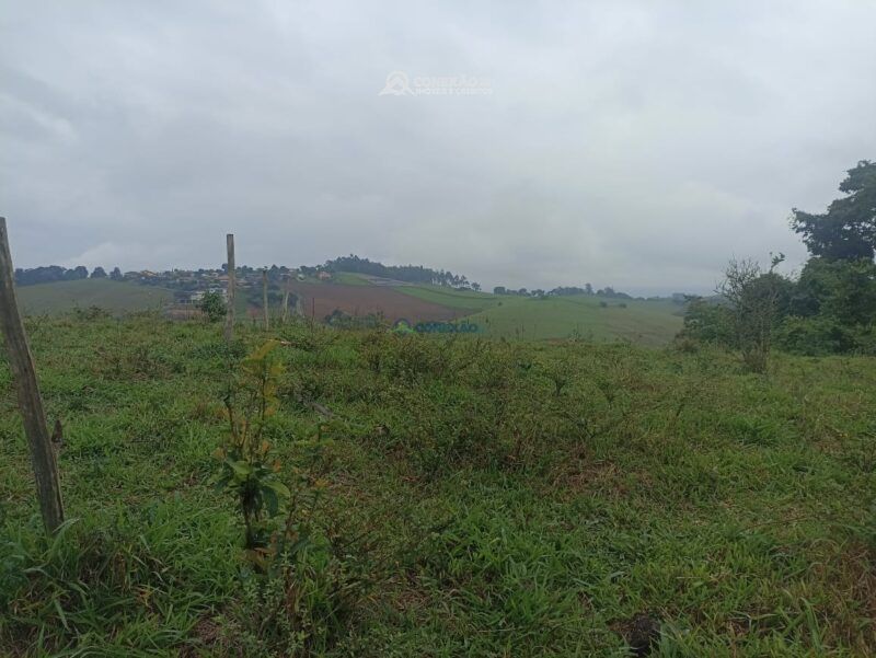 Terreno Rural à venda no Córrego do Bom Jesus, MG — foto 5