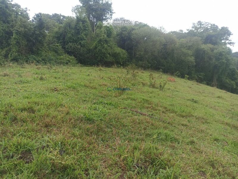 Terreno Rural à venda no Córrego do Bom Jesus, MG — foto 4