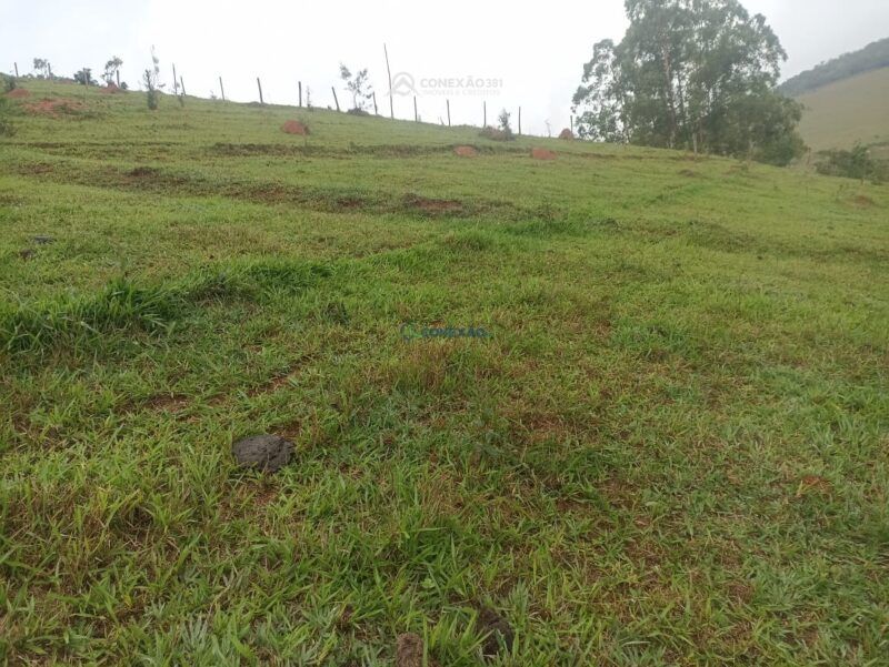 Terreno Rural à venda no Córrego do Bom Jesus, MG — foto 15