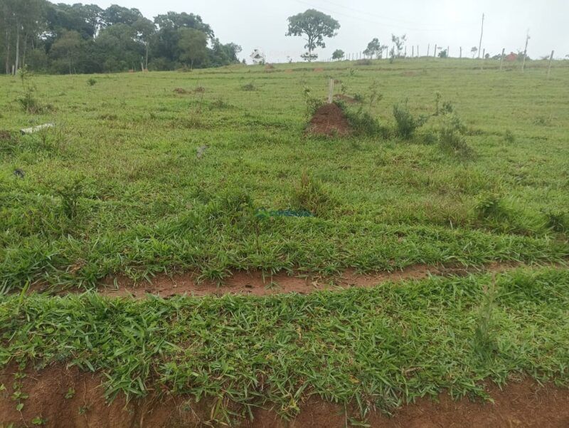 Terreno Rural à venda no Córrego do Bom Jesus, MG — foto 17