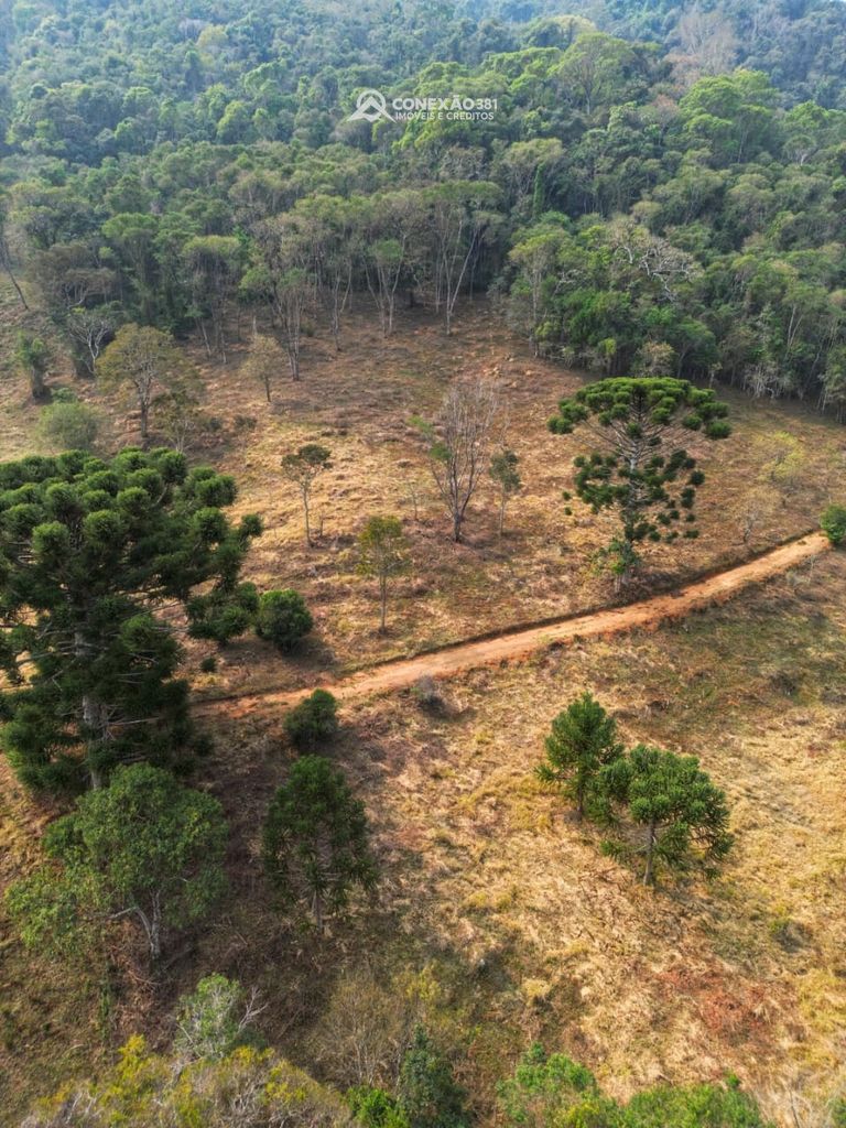 Terreno Rural à venda em Alagoa, MG — foto 4