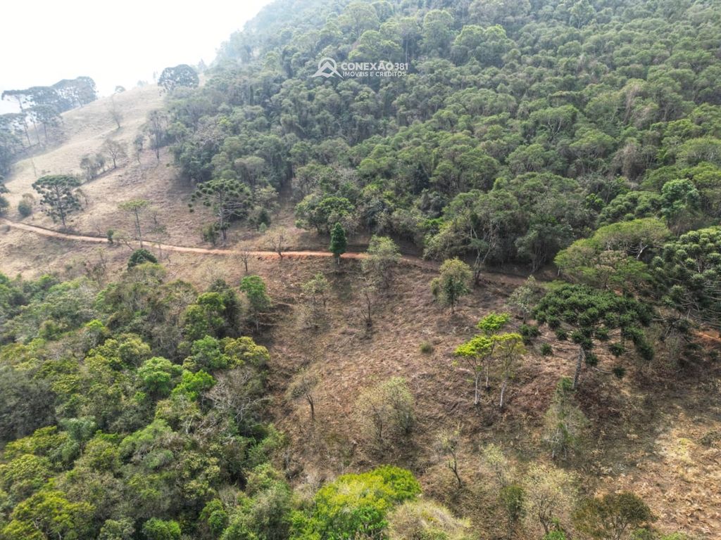 Terreno Rural à venda em Alagoa, MG — foto 3