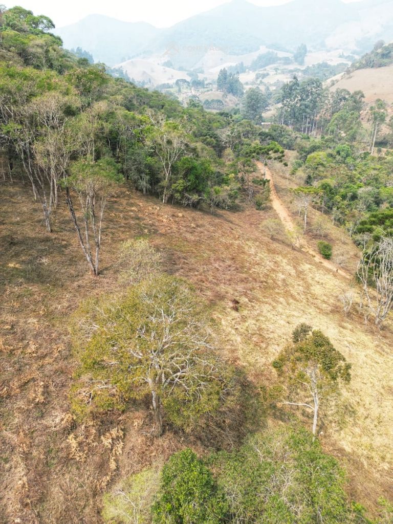 Terreno Rural à venda em Alagoa, MG — foto 1