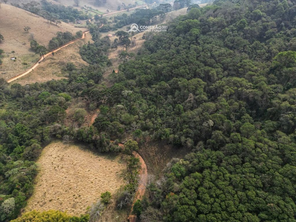Terreno Rural à venda em Alagoa, MG — foto 10
