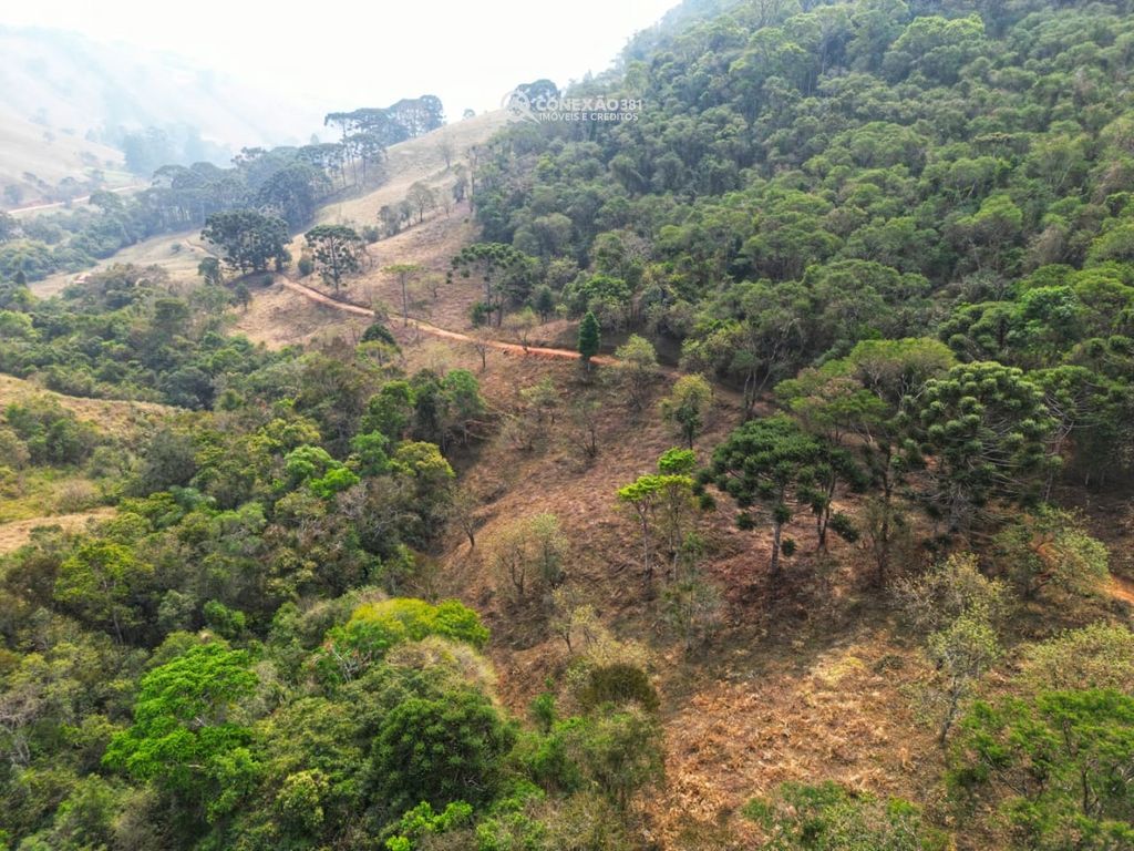 Terreno Rural à venda em Alagoa, MG — foto 9
