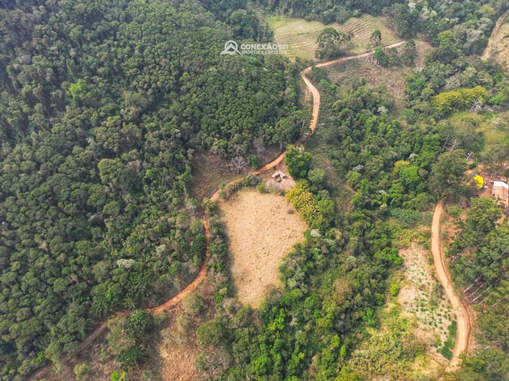 Terreno Rural à venda em Alagoa, MG — foto 8