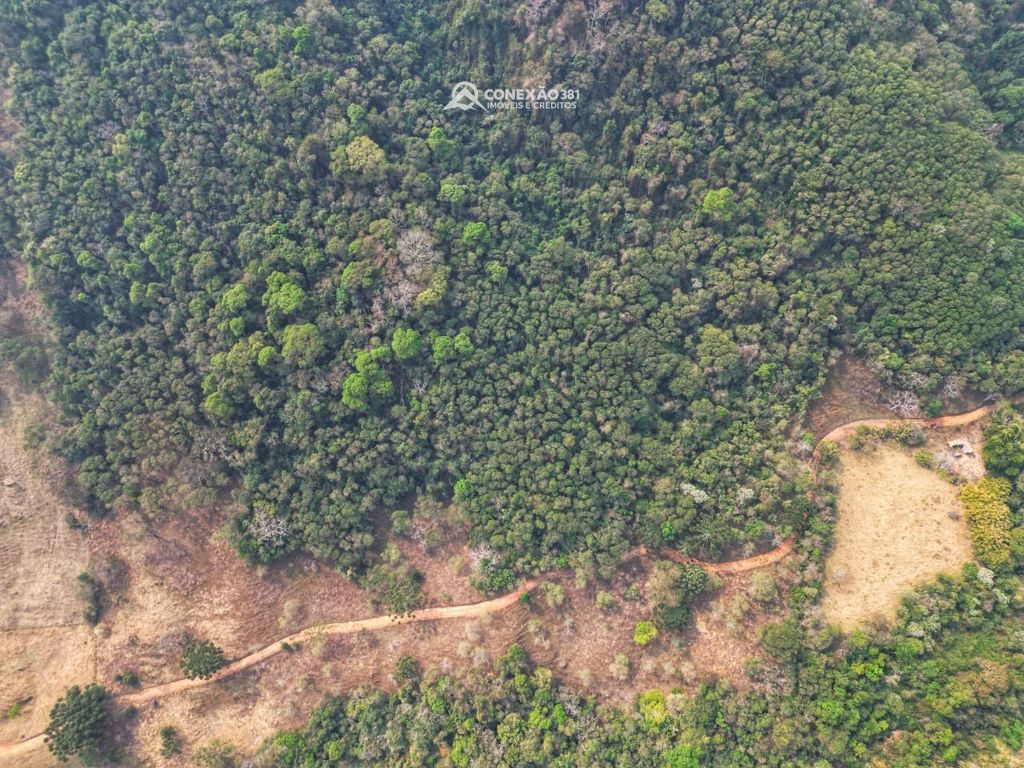 Terreno Rural à venda em Alagoa, MG — foto 11