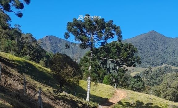 Terreno Rural à venda em Alagoa, MG — foto 25
