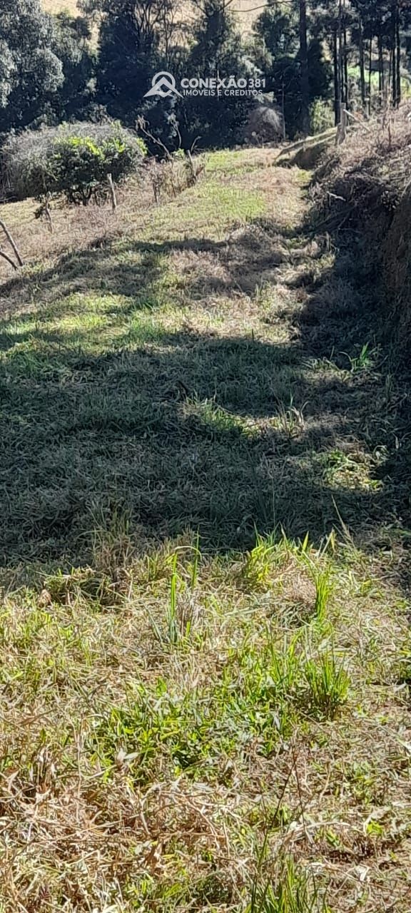 Terreno Rural à venda em Alagoa, MG — foto 26