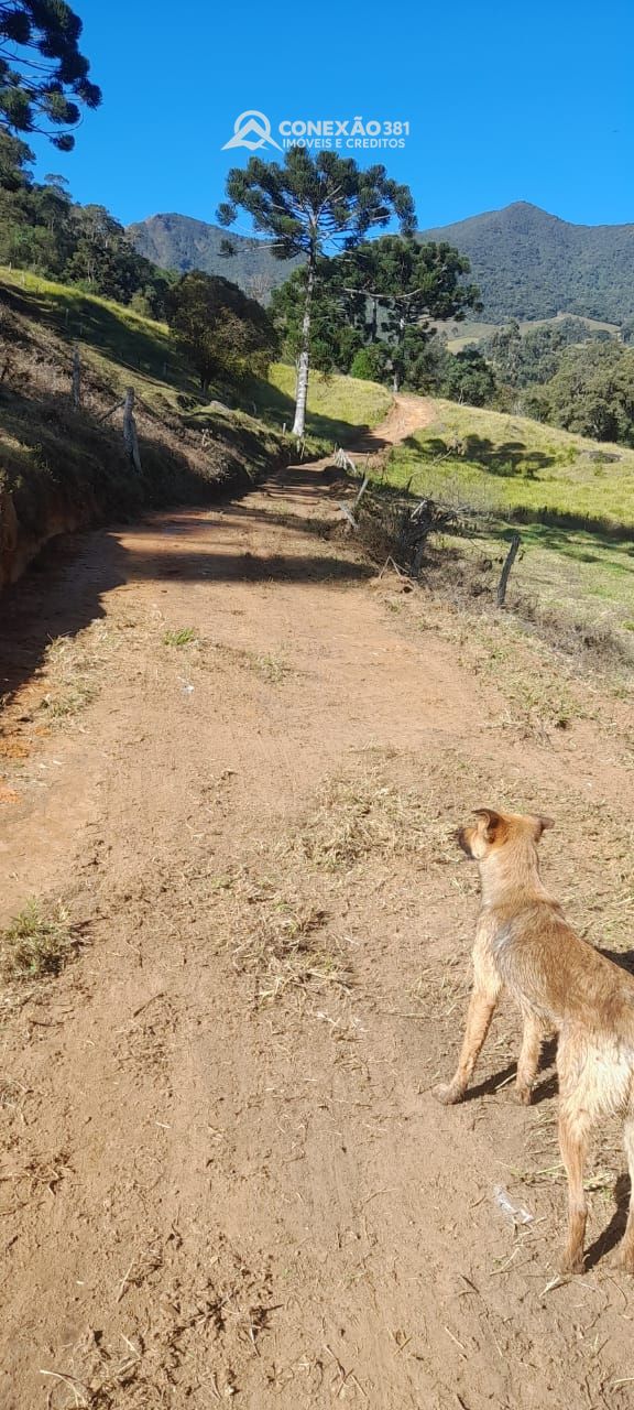 Terreno Rural à venda em Alagoa, MG — foto 32