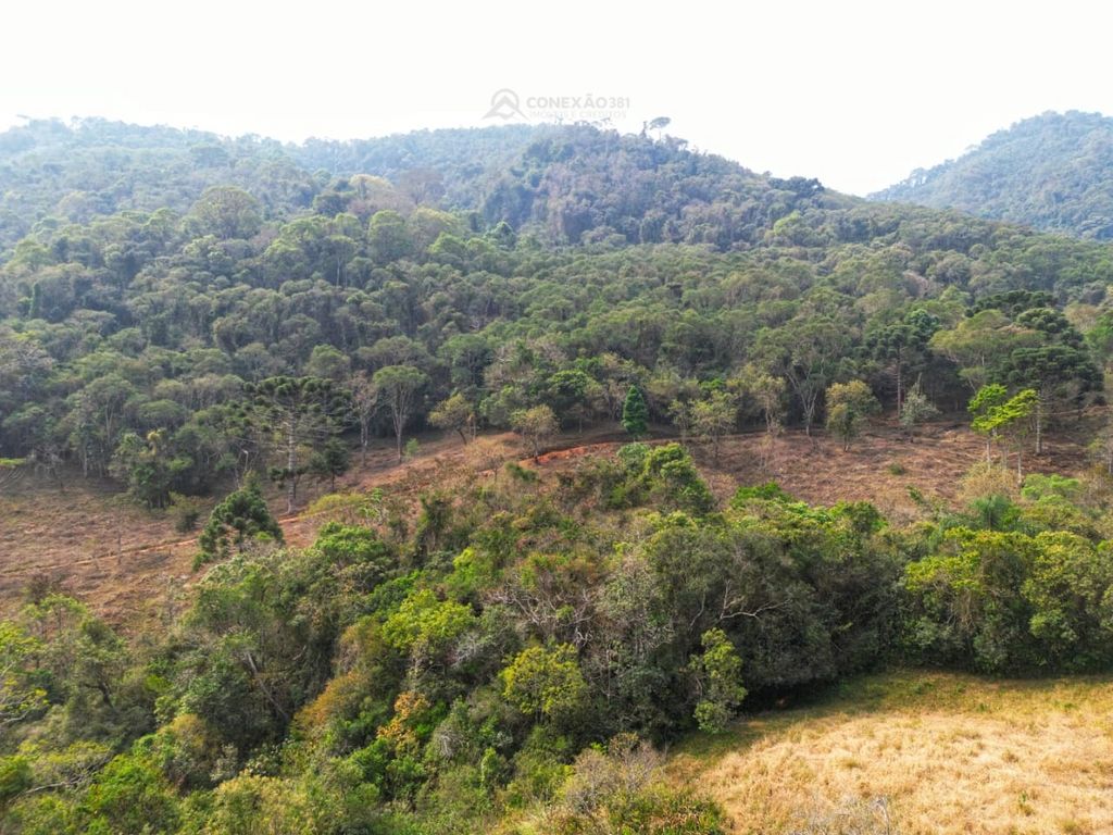 Terreno Rural à venda em Alagoa, MG — foto 46