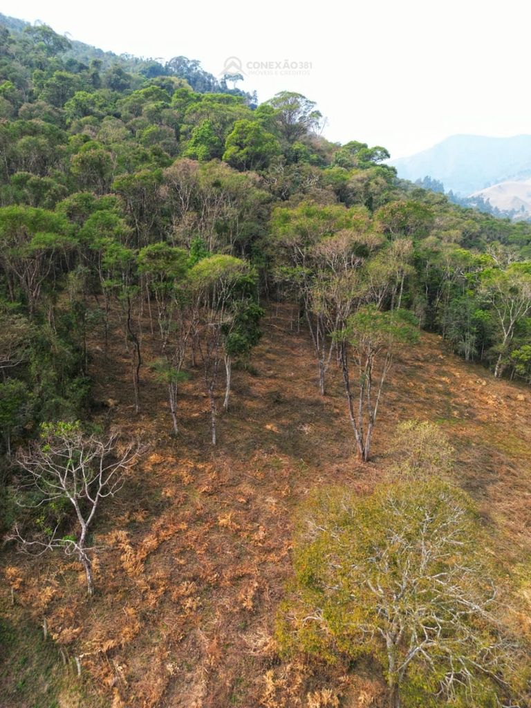 Terreno Rural à venda em Alagoa, MG — foto 48