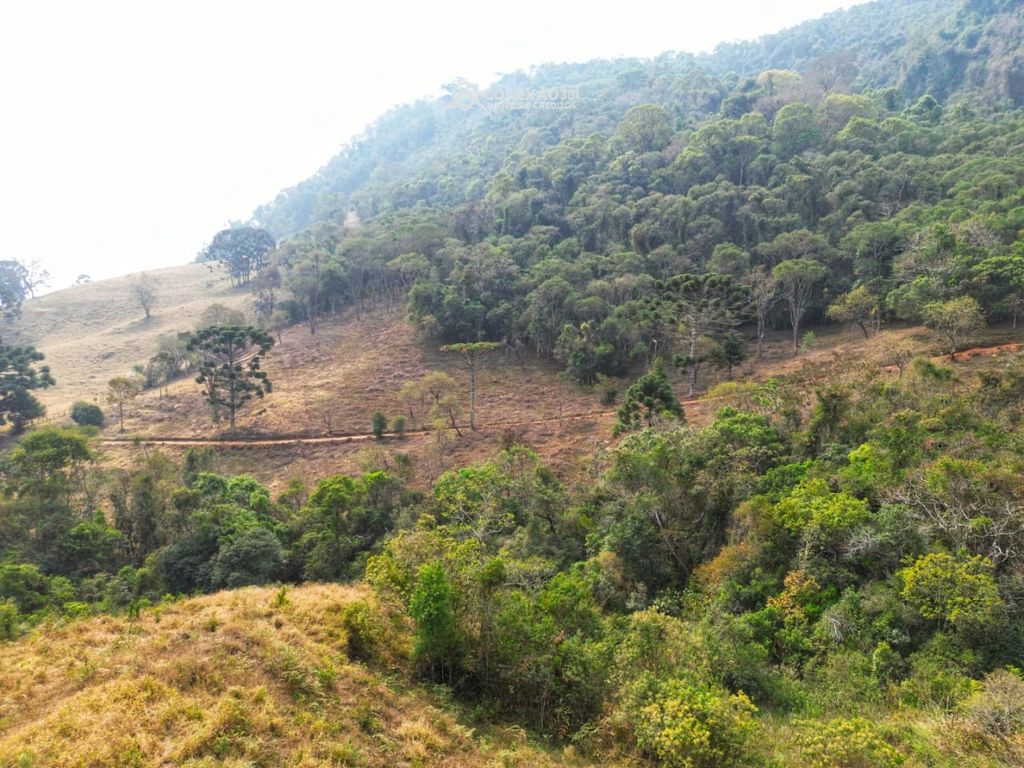 Terreno Rural à venda em Alagoa, MG — foto 47