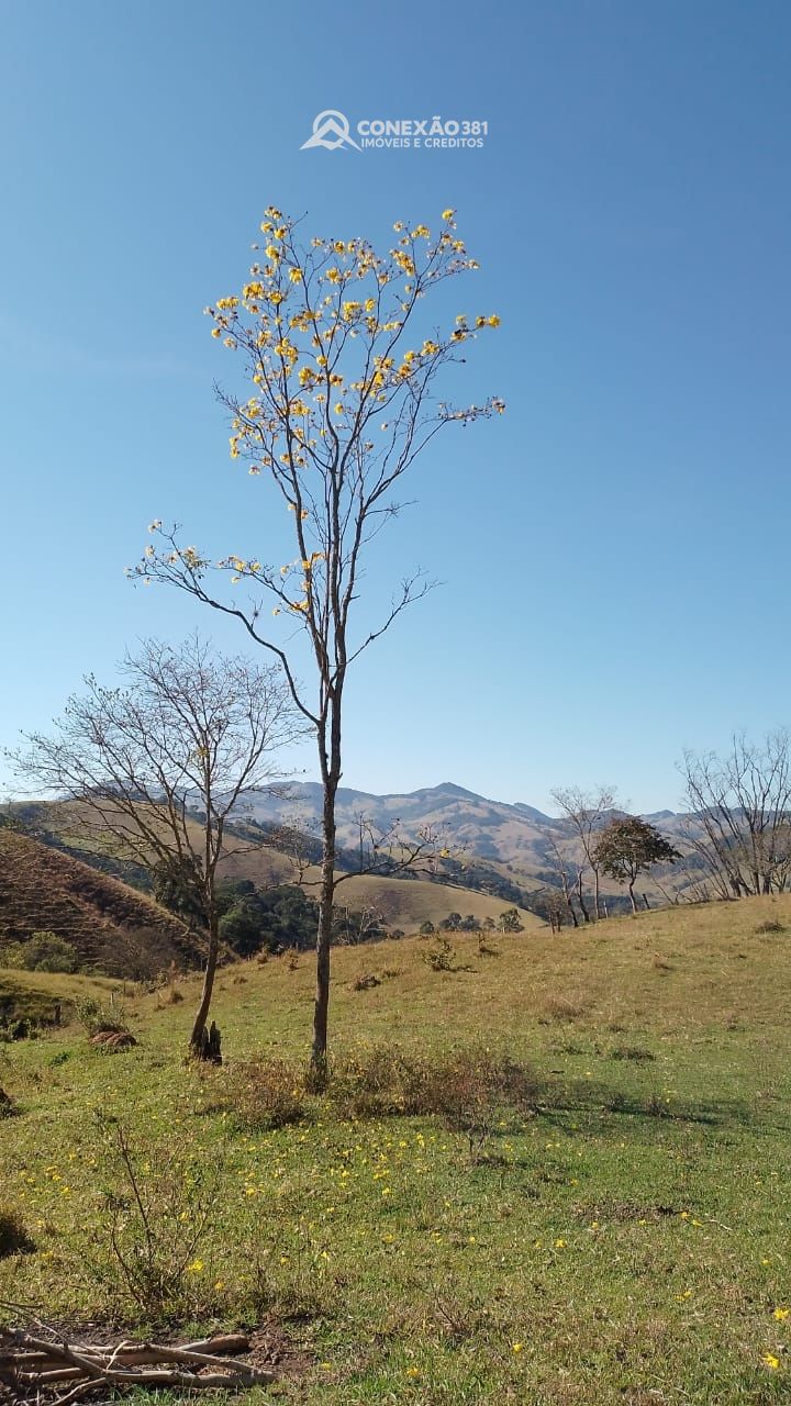 Terreno Rural à venda em Consolação, MG — foto 6