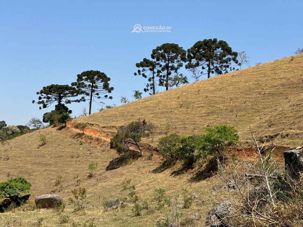 Terreno Rural à venda em Consolação, MG — foto 16