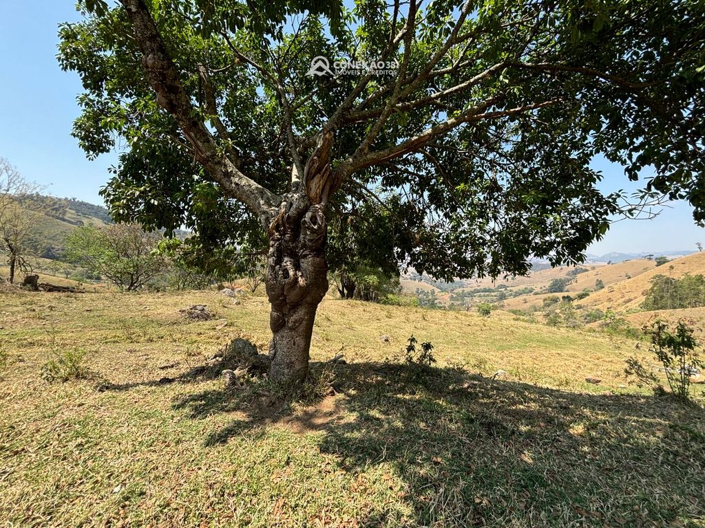 Terreno Rural à venda em Consolação, MG — foto 14