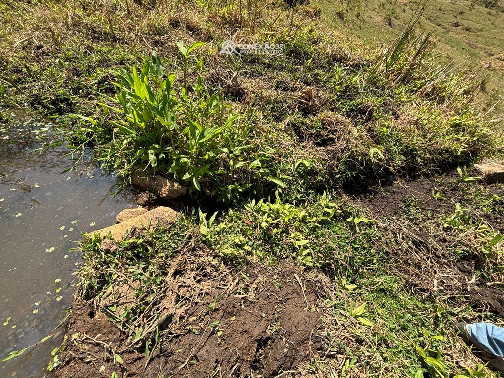 Terreno Rural à venda em Consolação, MG — foto 20