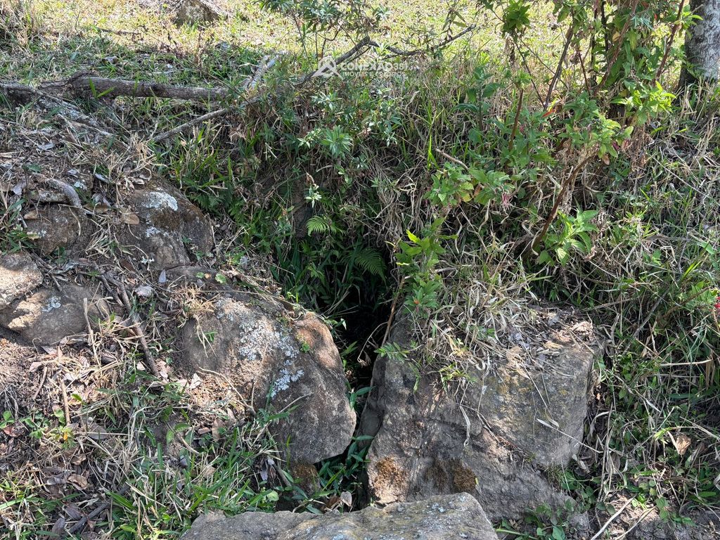 Terreno Rural à venda em Consolação, MG — foto 32
