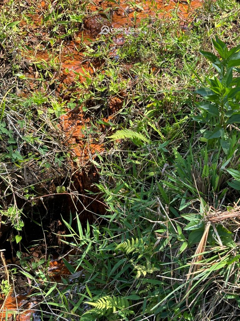 Terreno Rural à venda em Consolação, MG — foto 38