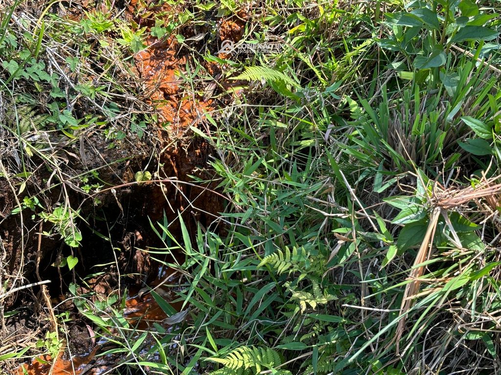 Terreno Rural à venda em Consolação, MG — foto 39