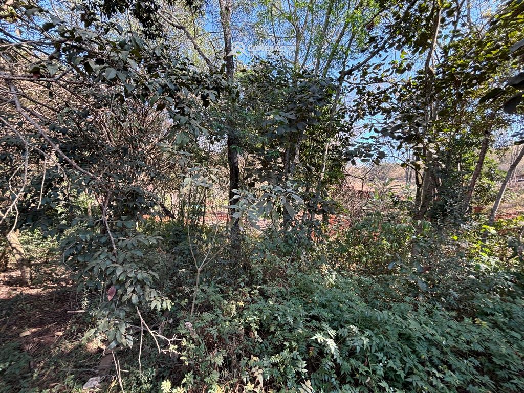 Chácara à venda em Cambuí, MG — foto 6