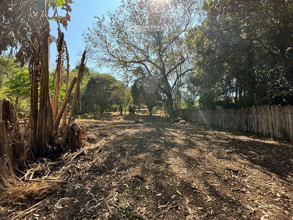 Chácara à venda em Cambuí, MG — foto 14