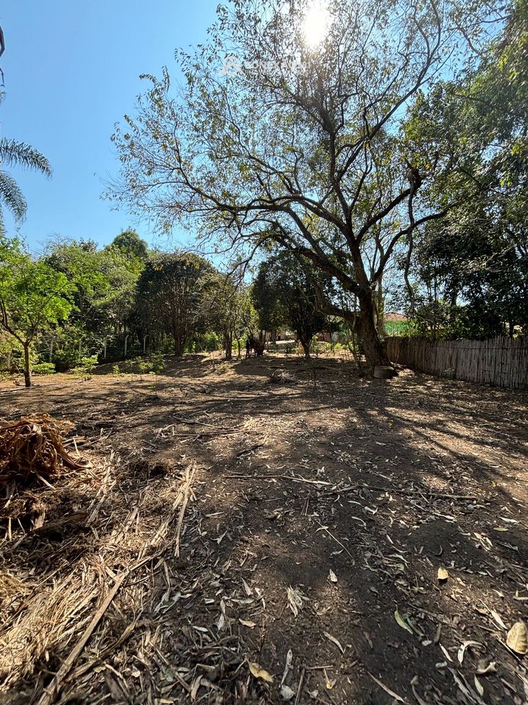 Chácara à venda em Cambuí, MG — foto 13